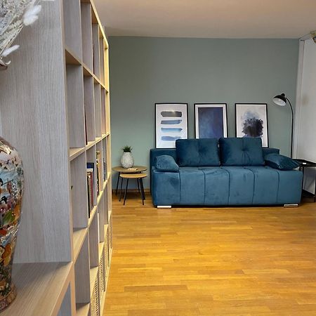 Spacious Cozy Apartment Ljubljana Extérieur photo
