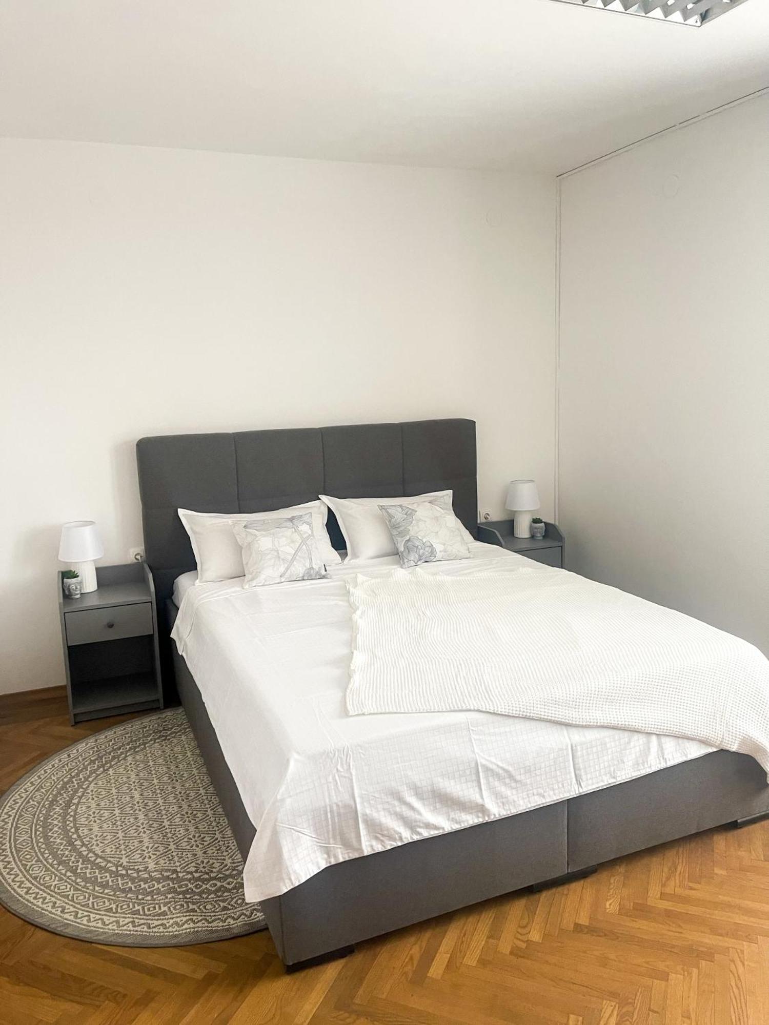 Spacious Cozy Apartment Ljubljana Extérieur photo